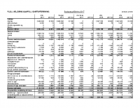 Budgetuppföljning 2017-12-31